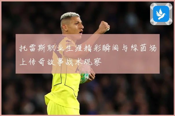 托雷斯职业生涯精彩瞬间与绿茵场上传奇故事战术观察