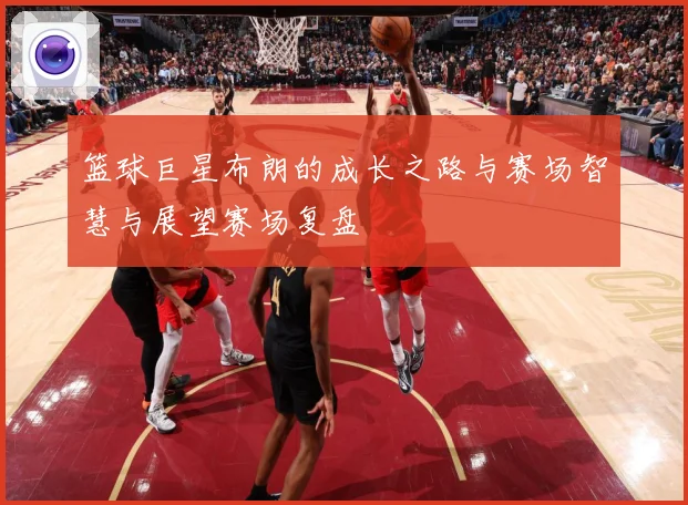 篮球巨星布朗的成长之路与赛场智慧与展望赛场复盘