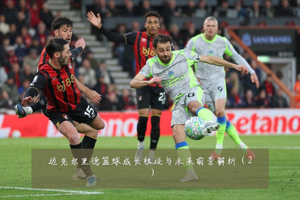 迈克尔里德篮球成长轨迹与未来前景解析（2）
